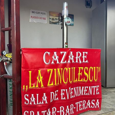La Zinculescu Hotel Albestii Paminteni Kültér fotó