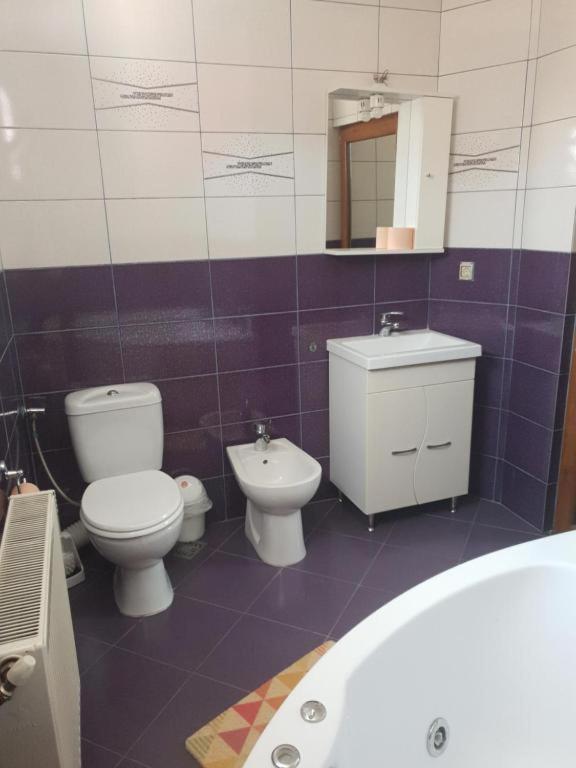 La Zinculescu Hotel Albestii Paminteni Kültér fotó